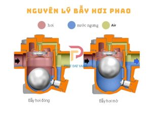 nguyên lý bẫy hơi