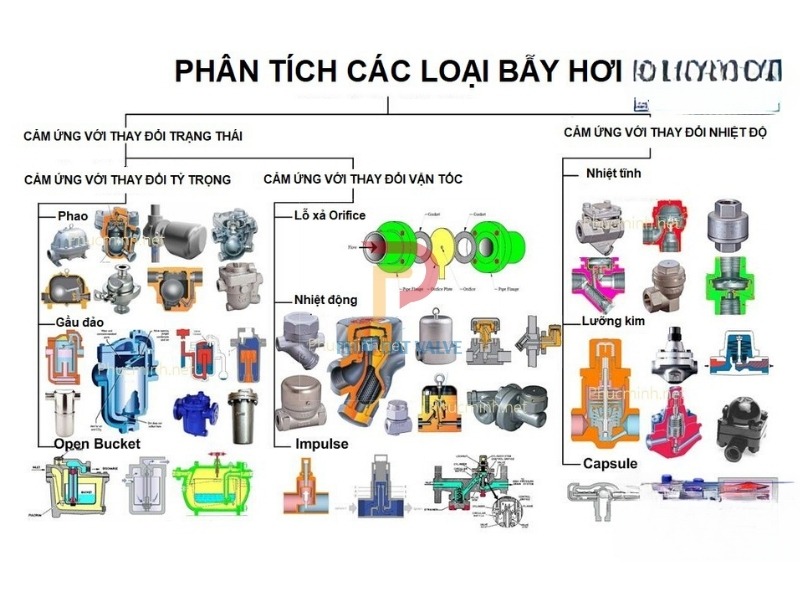 Công dụng của bẫy hơi - Bẫy hơi phao là gì? Các loại bẫy hơi phổ biến
