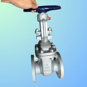 Van cổng rtv , van cổng thép rtv, van cổng thép wcb rtv