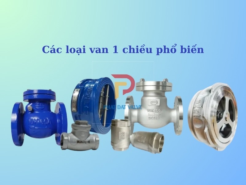 Phân loại van 1 chiều lò xo phổ biến hiện nay