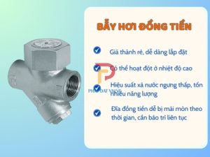 Ưu điểm nổi bật của bẫy hơi đồng tiền