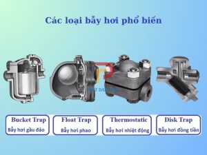 Các loại bẫy hơi đồng tiền phổ biến