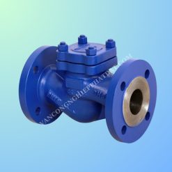 van hơi 1 chiều, van 1 chiều hơi, van hơi mặt bích