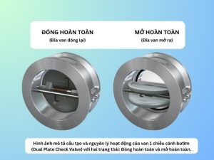 Van 1 chiều bướm