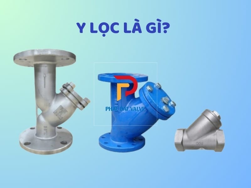 Y lọc là gì