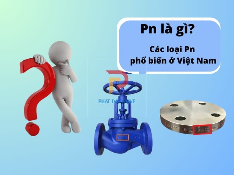 PN là gì