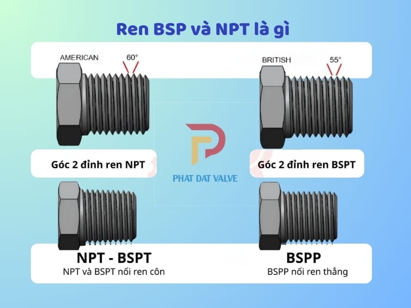 Ren BSP và NPT là gì