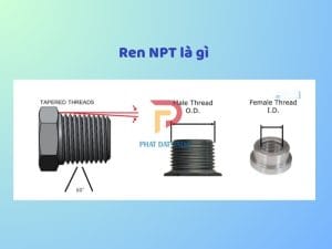 Ren NPT là gì